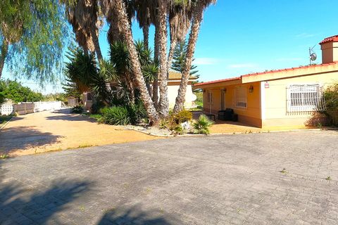 Finca i Dolores, Alicante, Dolores - € 374.950 | Ref: 30O994841 - foto 26